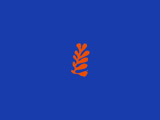 Maison Matisse fête la musique !